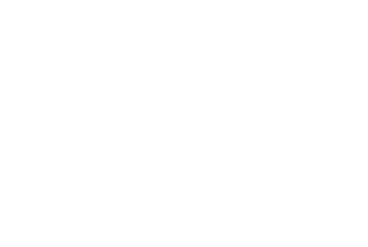Process